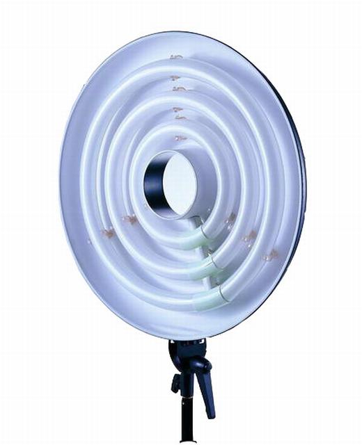 Grote daglichtlamp voor schaduwvrije foto- en videografie. <br />Lichtopbrengst 450W / 1500 LUXBuitendiameter 48 cm, opening 10,2 cm.” width=”164″ height=”164″ />Grote daglichtlamp voor schaduwvrije foto- en videografie. <br />Lichtopbrengst 450W / 1500 LUXBuitendiameter 48 cm, opening 10,2 cm.</p>
<h3>Prijs: €EUR 110,00</h3>
<p><span style=