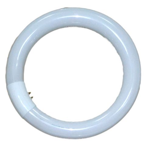 Reserve ringlamp (22W) voor de RFL-2 en RFL-3 ringlamp van Falcon Eyes.