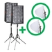 Falcon Eyes RX-12T Flexibel LED Paneel Set 2