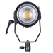 Falcon Eyes P-12 Mini LED Fresnel Lamp 120W