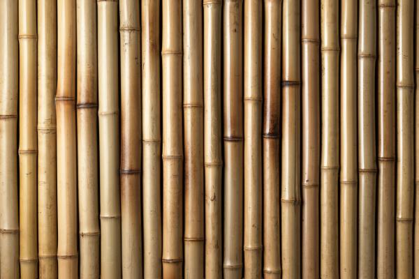 Bedrukt vinyldoek (520 gram/m2). Reflectievrij, slijtvast, UV-bestendig en makkelijk schoon te maken.<br /> Verkrijgbaar in 13 maten vanaf 49 euro. Maatwerk mogelijk.” width=”164″ height=”164″ />Bedrukt vinyldoek (520 gram/m2). Reflectievrij, slijtvast, UV-bestendig en makkelijk schoon te maken.<br /> Verkrijgbaar in 13 maten vanaf 49 euro. Maatwerk mogelijk.</p>
<h3>Prijs: €EUR 49,00</h3>
<p><span style=