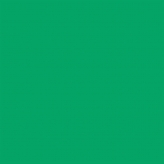 Falcon Eyes Achtergrondpapier 46 Chroma Green 0,57 x 11 m